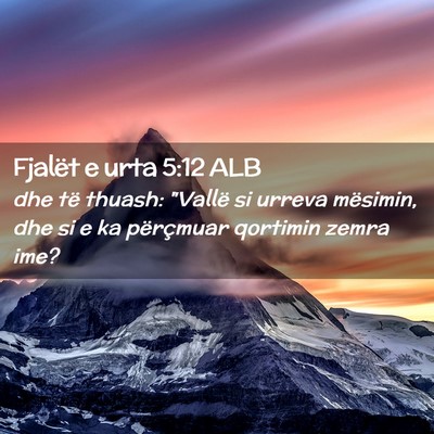 Picture 02 - Fjalët e urta 5:12 ALB - dhe të thuash: 