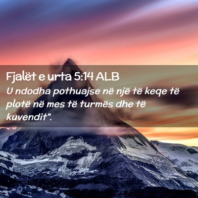 Picture 02 - Fjalët e urta 5:14 ALB - U ndodha pothuajse në një të keqe të plotë - Bible Verse Picture