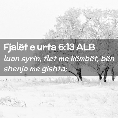 Picture 02 - Fjalët e urta 6:13 ALB - luan syrin, flet me këmbët, bën shenja me - Bible Verse Picture
