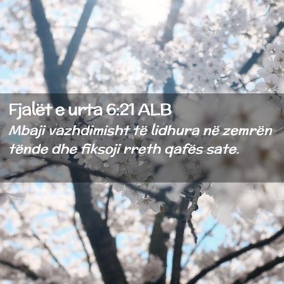 Picture 02 - Fjalët e urta 6:21 ALB - Mbaji vazhdimisht të lidhura në zemrën tënde - Bible Verse Picture
