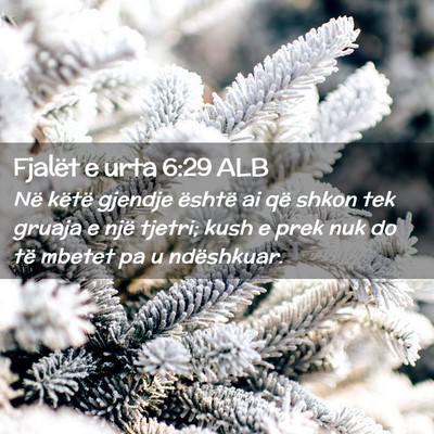 Picture 02 - Fjalët e urta 6:29 ALB - Në këtë gjendje është ai që shkon tek - Bible Verse Picture