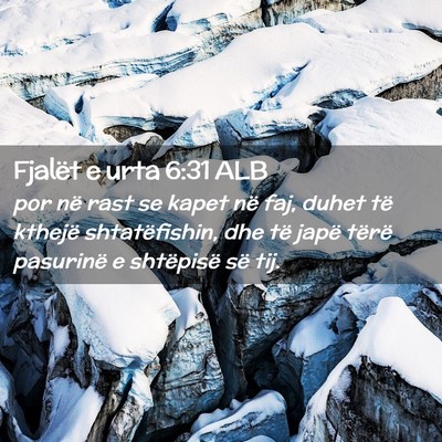 Picture 02 - Fjalët e urta 6:31 ALB - por në rast se kapet në faj, duhet të kthejë - Bible Verse Picture