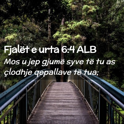 Picture 02 - Fjalët e urta 6:4 ALB - Mos u jep gjumë syve të tu as çlodhje - Bible Verse Picture