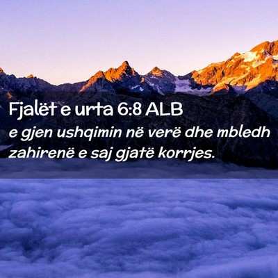 Picture 02 - Fjalët e urta 6:8 ALB - e gjen ushqimin në verë dhe mbledh zahirenë e - Bible Verse Picture