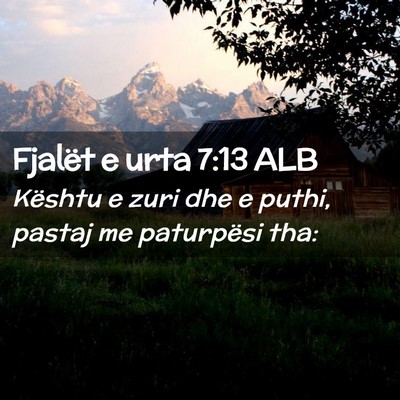 Picture 02 - Fjalët e urta 7:13 ALB - Kështu e zuri dhe e puthi, pastaj me paturpësi - Bible Verse Picture