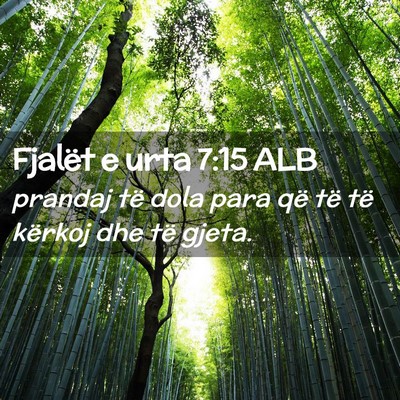 Picture 02 - Fjalët e urta 7:15 ALB - prandaj të dola para që të të kërkoj dhe të - Bible Verse Picture