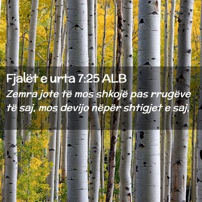 Picture 02 - Fjalët e urta 7:25 ALB - Zemra jote të mos shkojë pas rrugëve të saj, - Bible Verse Picture