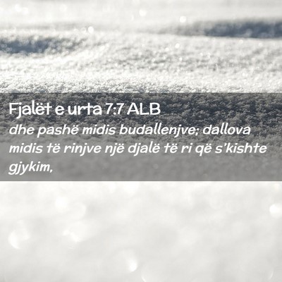 Picture 02 - Fjalët e urta 7:7 ALB - dhe pashë midis budallenjve; dallova midis të - Bible Verse Picture
