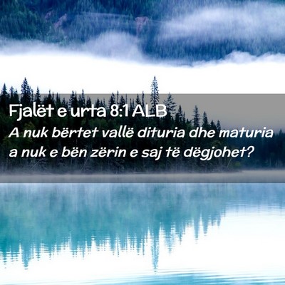 Picture 02 - Fjalët e urta 8:1 ALB - A nuk bërtet vallë dituria dhe maturia a nuk e - Bible Verse Picture