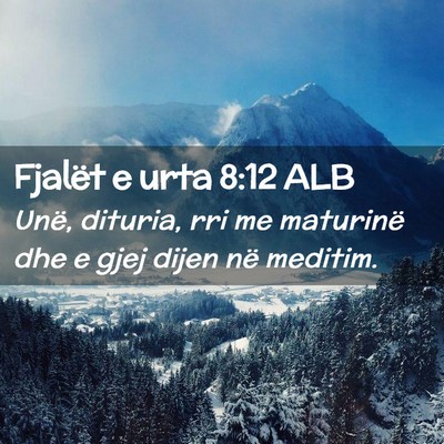 Picture 02 - Fjalët e urta 8:12 ALB - Unë, dituria, rri me maturinë dhe e gjej dijen - Bible Verse Picture