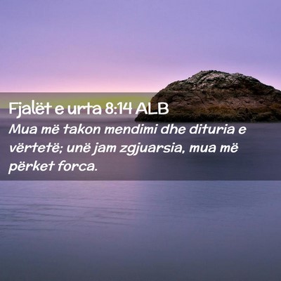 Picture 02 - Fjalët e urta 8:14 ALB - Mua më takon mendimi dhe dituria e vërtetë; - Bible Verse Picture