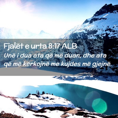 Picture 02 - Fjalët e urta 8:17 ALB - Unë i dua ata që më duan, dhe ata që më - Bible Verse Picture