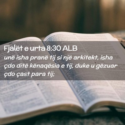 Picture 02 - Fjalët e urta 8:30 ALB - unë isha pranë tij si një arkitekt, isha çdo - Bible Verse Picture