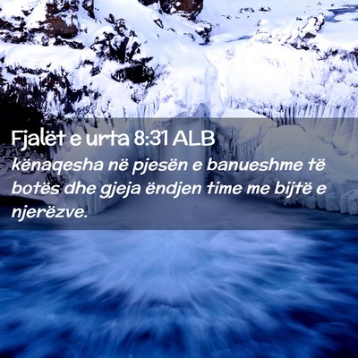 Picture 02 - Fjalët e urta 8:31 ALB - kënaqesha në pjesën e banueshme të botës dhe - Bible Verse Picture