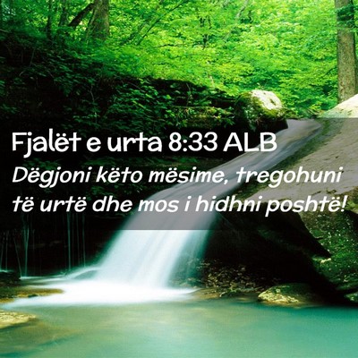 Picture 02 - Fjalët e urta 8:33 ALB - Dëgjoni këto mësime, tregohuni të urtë dhe - Bible Verse Picture