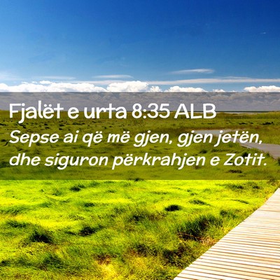 Picture 02 - Fjalët e urta 8:35 ALB - Sepse ai që më gjen, gjen jetën, dhe siguron - Bible Verse Picture