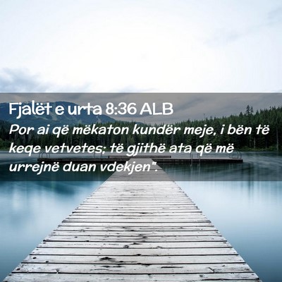 Picture 02 - Fjalët e urta 8:36 ALB - Por ai që mëkaton kundër meje, i bën të keqe - Bible Verse Picture