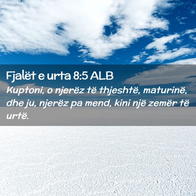 Picture 02 - Fjalët e urta 8:5 ALB - Kuptoni, o njerëz të thjeshtë, maturinë, dhe - Bible Verse Picture