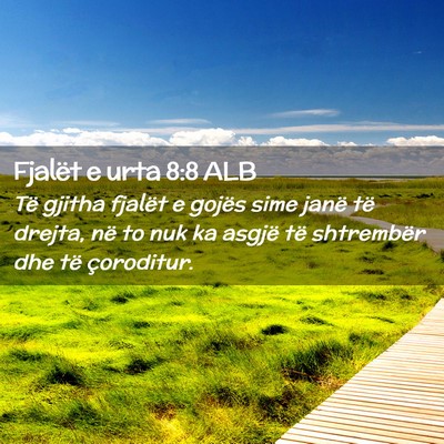Picture 02 - Fjalët e urta 8:8 ALB - Të gjitha fjalët e gojës sime janë të - Bible Verse Picture