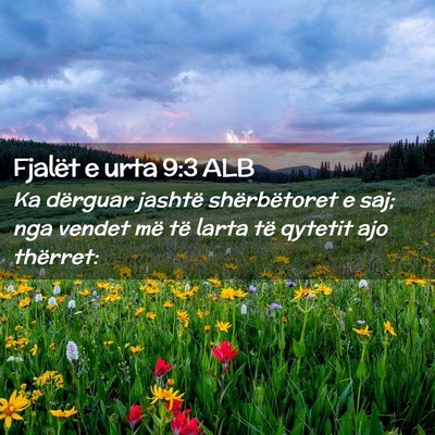 Picture 02 - Fjalët e urta 9:3 ALB - Ka dërguar jashtë shërbëtoret e saj; nga - Bible Verse Picture