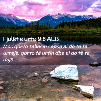 Picture 02 - Fjalët e urta 9:8 ALB - Mos qorto tallësin sepse ai do të të urrejë; - Bible Verse Picture