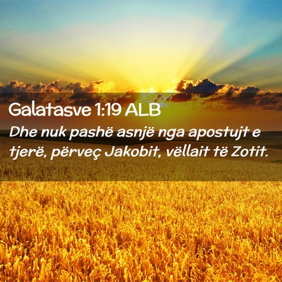 Picture 02 - Galatasve 1:19 ALB - Dhe nuk pashë asnjë nga apostujt e tjerë, - Bible Verse Picture