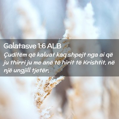 Picture 02 - Galatasve 1:6 ALB - Çuditëm që kaluat kaq shpejt nga ai që ju - Bible Verse Picture