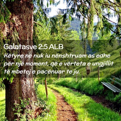 Picture 02 - Galatasve 2:5 ALB - Këtyre ne nuk iu nënshtruam as edhe për një - Bible Verse Picture