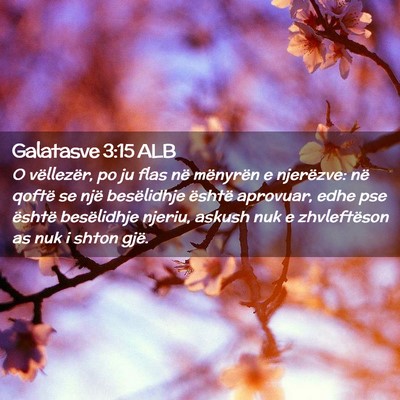 Picture 02 - Galatasve 3:15 ALB - O vëllezër, po ju flas në mënyrën e - Bible Verse Picture