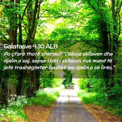 Picture 02 - Galatasve 4:30 ALB - Po çfarë thotë shkrimi? “Dëboje skllaven - Bible Verse Picture