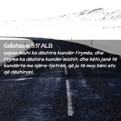 Picture 02 - Galatasve 5:17 ALB - sepse mishi ka dëshira kundër Frymës, dhe - Bible Verse Picture