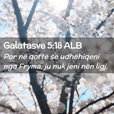 Picture 02 - Galatasve 5:18 ALB - Por në qoftë se udhëhiqeni nga Fryma, ju nuk - Bible Verse Picture