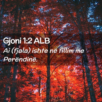 Picture 02 - Gjoni 1:2 ALB - Ai (fjala) ishte në fillim me - Bible Verse Picture
