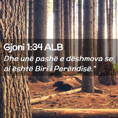 Picture 02 - Gjoni 1:34 ALB - Dhe unë pashë e dëshmova se ai është Biri i - Bible Verse Picture