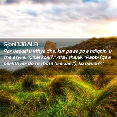 Picture 02 - Gjoni 1:38 ALB - Por Jezusi u kthye dhe, kur pa se po e ndiqnin, u - Bible Verse Picture