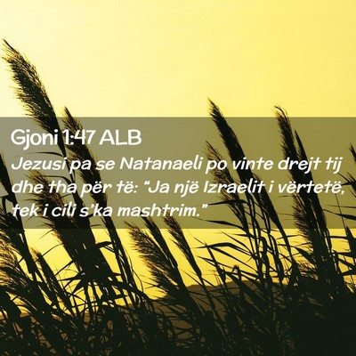 Picture 02 - Gjoni 1:47 ALB - Jezusi pa se Natanaeli po vinte drejt tij dhe tha - Bible Verse Picture