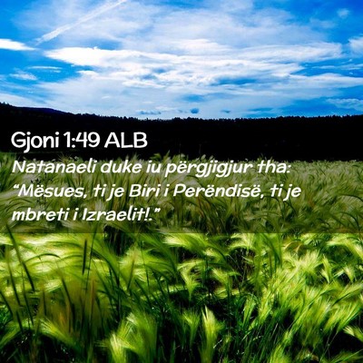 Picture 02 - Gjoni 1:49 ALB - Natanaeli duke iu përgjigjur tha: “Mësues, ti - Bible Verse Picture