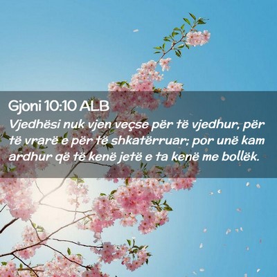 Picture 02 - Gjoni 10:10 ALB - Vjedhësi nuk vjen veçse për të vjedhur, për - Bible Verse Picture