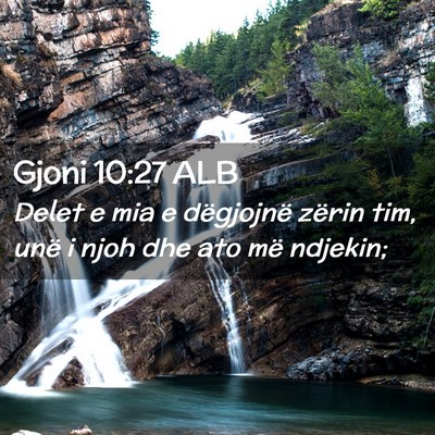 Picture 02 - Gjoni 10:27 ALB - Delet e mia e dëgjojnë zërin tim, unë i njoh - Bible Verse Picture