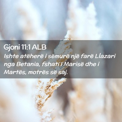 Picture 02 - Gjoni 11:1 ALB - Ishte atëherë i sëmurë një farë Llazari nga - Bible Verse Picture