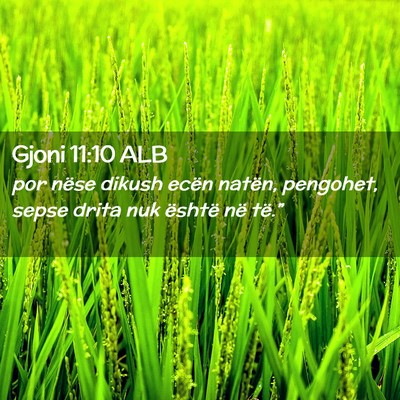 Picture 02 - Gjoni 11:10 ALB - por nëse dikush ecën natën, pengohet, sepse - Bible Verse Picture