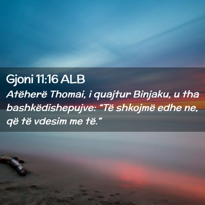 Picture 02 - Gjoni 11:16 ALB - Atëherë Thomai, i quajtur Binjaku, u tha - Bible Verse Picture