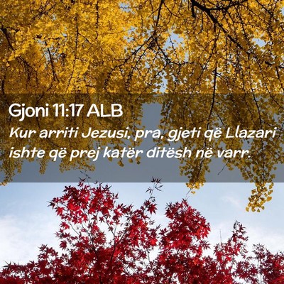 Picture 02 - Gjoni 11:17 ALB - Kur arriti Jezusi, pra, gjeti që Llazari ishte - Bible Verse Picture