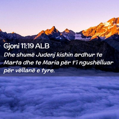 Picture 02 - Gjoni 11:19 ALB - Dhe shumë Judenj kishin ardhur te Marta dhe te - Bible Verse Picture