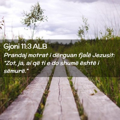 Picture 02 - Gjoni 11:3 ALB - Prandaj motrat i dërguan fjalë Jezusit: “Zot, - Bible Verse Picture