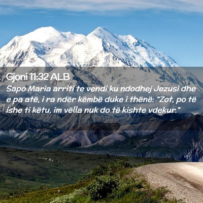 Picture 02 - Gjoni 11:32 ALB - Sapo Maria arriti te vendi ku ndodhej Jezusi dhe - Bible Verse Picture