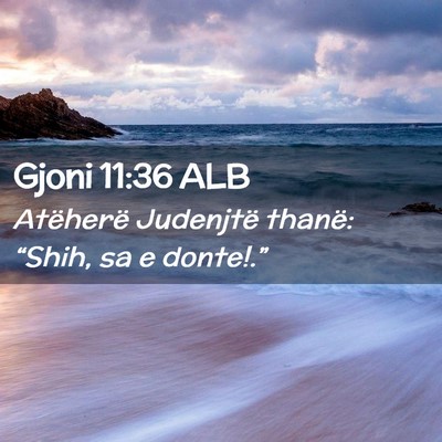 Picture 02 - Gjoni 11:36 ALB - Atëherë Judenjtë thanë: “Shih, sa e - Bible Verse Picture