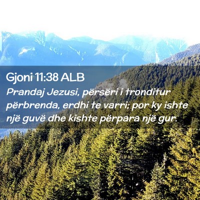 Picture 02 - Gjoni 11:38 ALB - Prandaj Jezusi, përsëri i tronditur përbrenda, - Bible Verse Picture