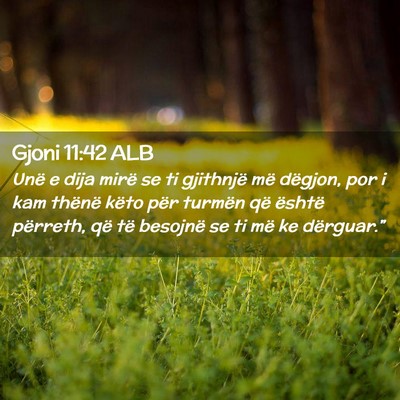 Picture 02 - Gjoni 11:42 ALB - Unë e dija mirë se ti gjithnjë më dëgjon, - Bible Verse Picture