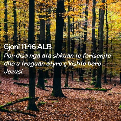 Picture 02 - Gjoni 11:46 ALB - Por disa nga ata shkuan te farisenjtë dhe u - Bible Verse Picture